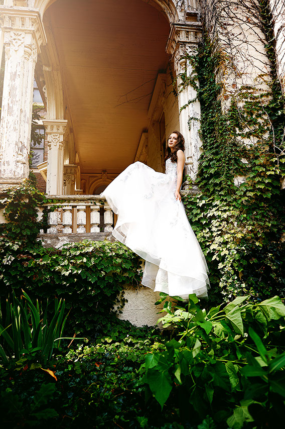 Senior Pictures Near Me Top High School Senior Photographers Toledo Sylvania Northview, Perrysburg, Clay High School, Anthony Wayne High School