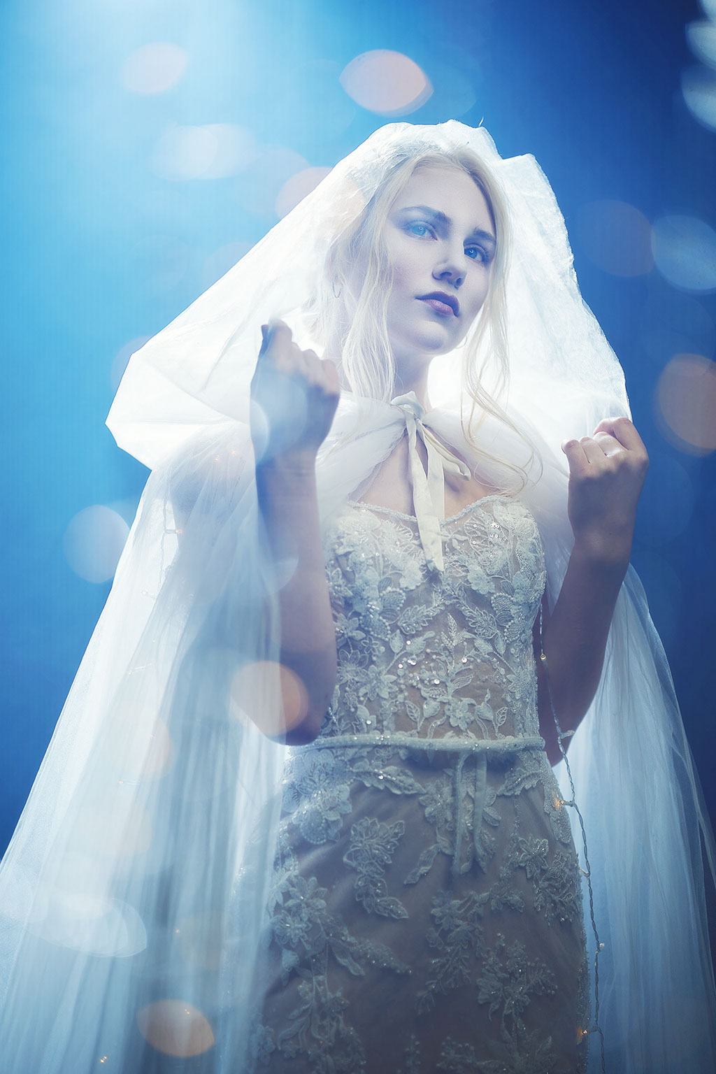 Top High School Senior Photographers Toledo Sylvania Northview, Perrysburg, Clay High School Anthony Wayne High School, Ottawa Hills High School