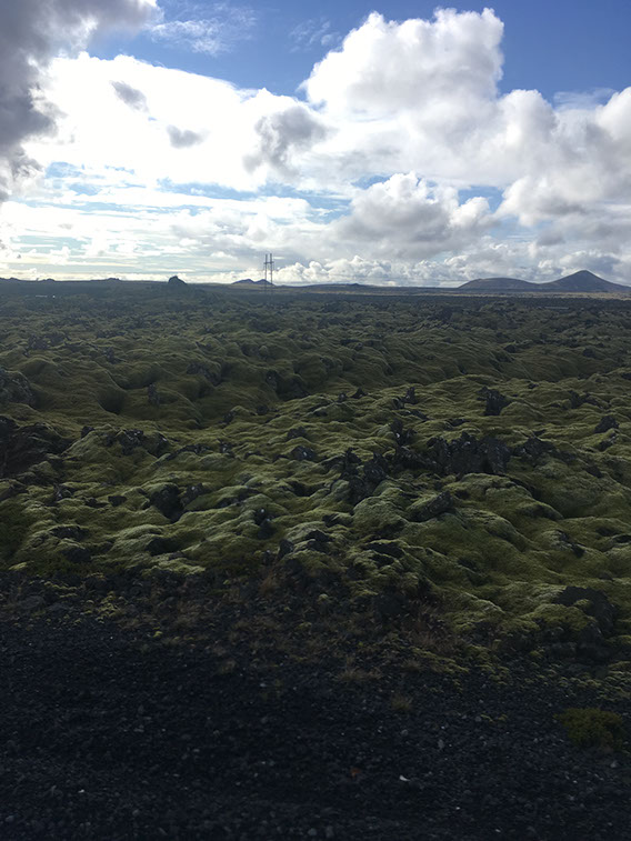 Ann Arbor Michigan and the greater Metro Detroit area, and offering unique Teen and High School Senior Portraits. Garden City High School in Gar