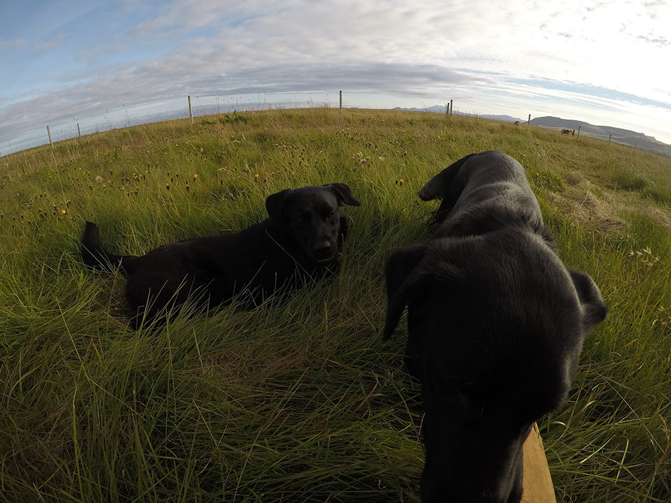 Ann Arbor Michigan and the greater Metro Detroit area, and offering unique Teen and High School Senior Portraits. Garden City High School in Gar