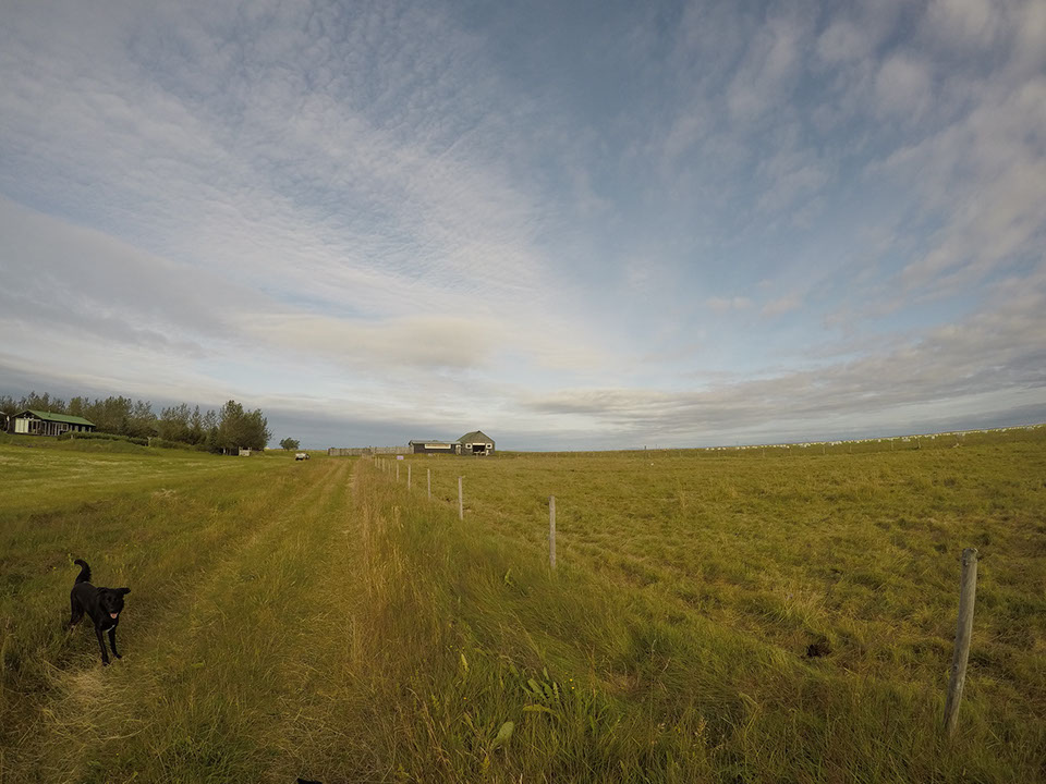 Ann Arbor Michigan and the greater Metro Detroit area, and offering unique Teen and High School Senior Portraits. Garden City High School in Gar