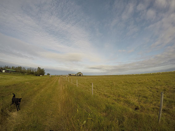 Ann Arbor Michigan and the greater Metro Detroit area, and offering unique Teen and High School Senior Portraits. Garden City High School in Gar